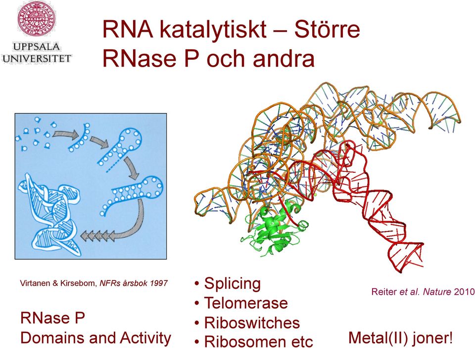 Activity Splicing Telomerase Riboswitches