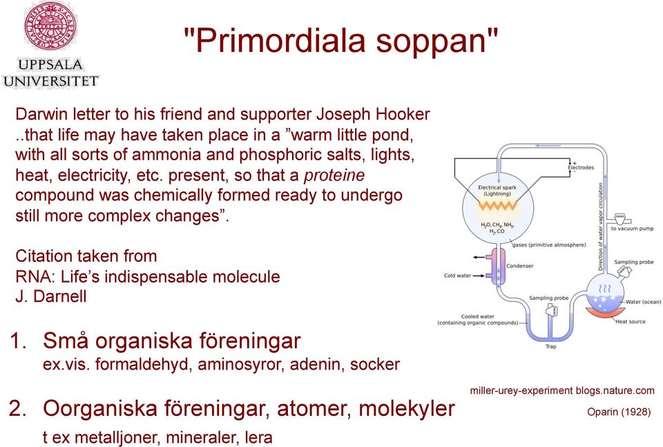 present, so that a proteine compound was chemically formed ready to undergo still more complex changes.