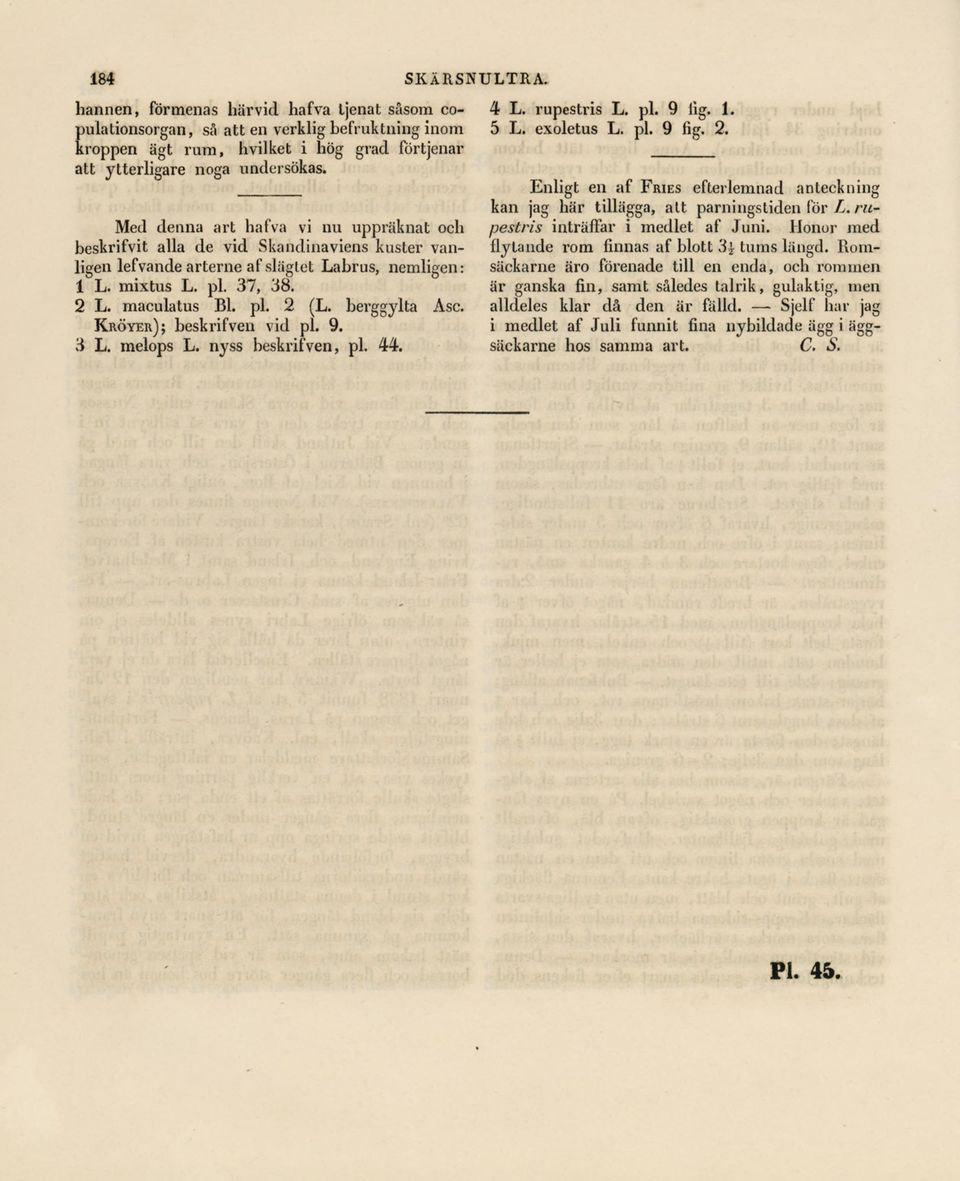 berggylta Asc. Kröyer);beskrifven vid pl. 9. 3 L. melops L. nyss beskrifven, pl. 44. 4 L. rupestris L. pl. 9 lig. 1. 5 L. exoletus L. pl. 9 fig. 2.