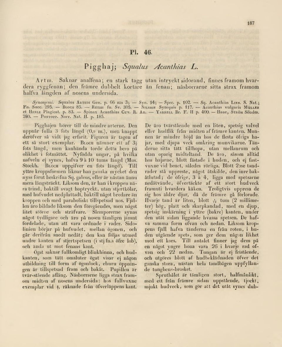 Synonymi. Squalus Artedi Gen. p. 66 n:o 3; Syn. 94; Spec. p. 102. Sq. Acanthias Linpt. S. Nat.; Fn. Suec. 295. Blocii 85. " Retzii fn. Sv. 305. Nilsson Synopsis p. 117.