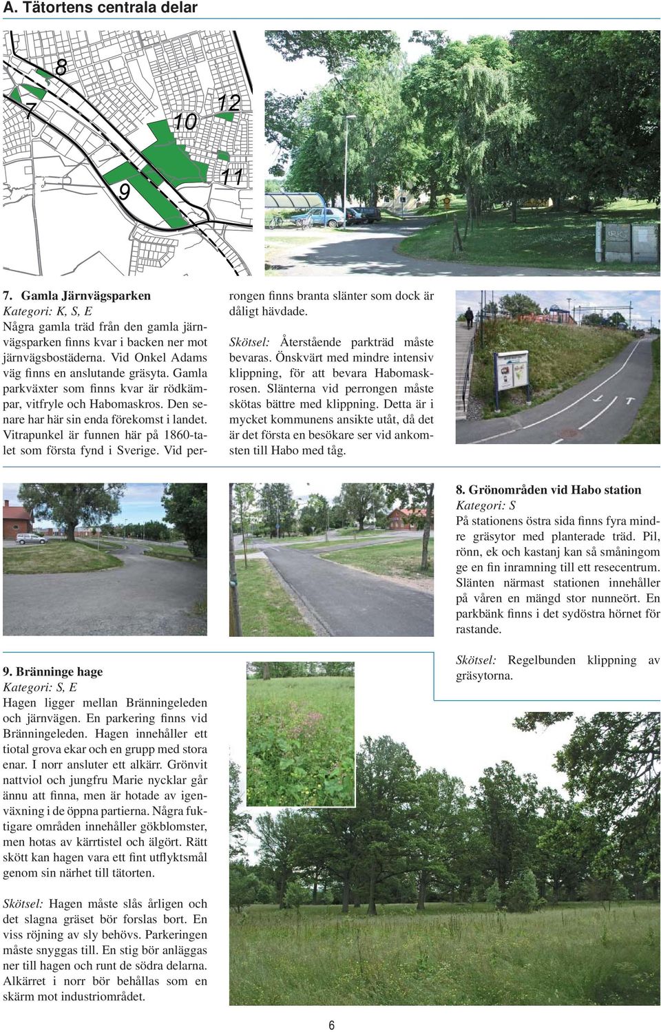 Vitrapunkel är funnen här på 1860-talet som första fynd i Sverige. Vid per- rongen finns branta slänter som dock är dåligt hävdade. Skötsel: Återstående parkträd måste bevaras.