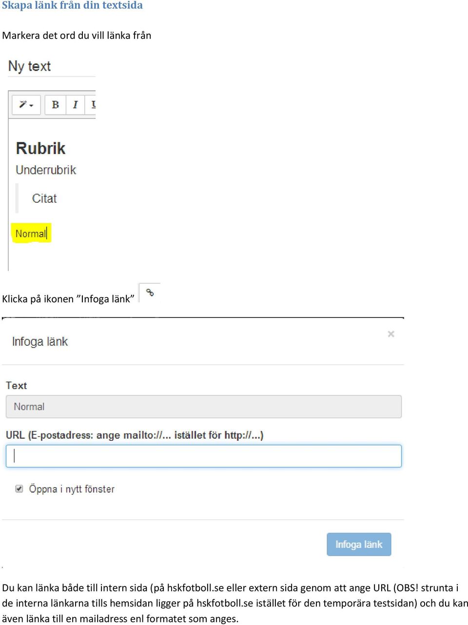 se eller extern sida genom att ange URL (OBS!