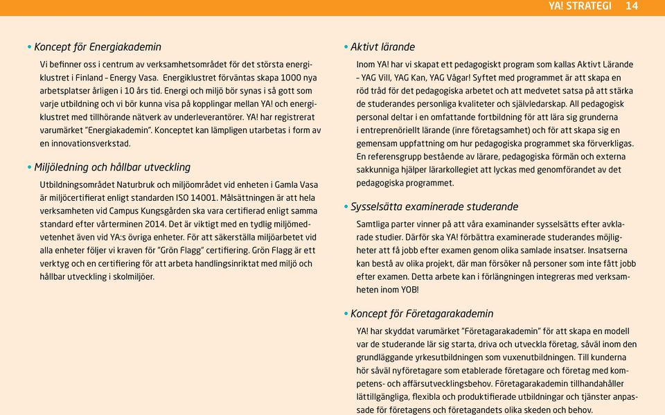 och energiklustret med tillhörande nätverk av underleverantörer. YA! har registrerat varumärket Energiakademin. Konceptet kan lämpligen utarbetas i form av en innovationsverkstad.