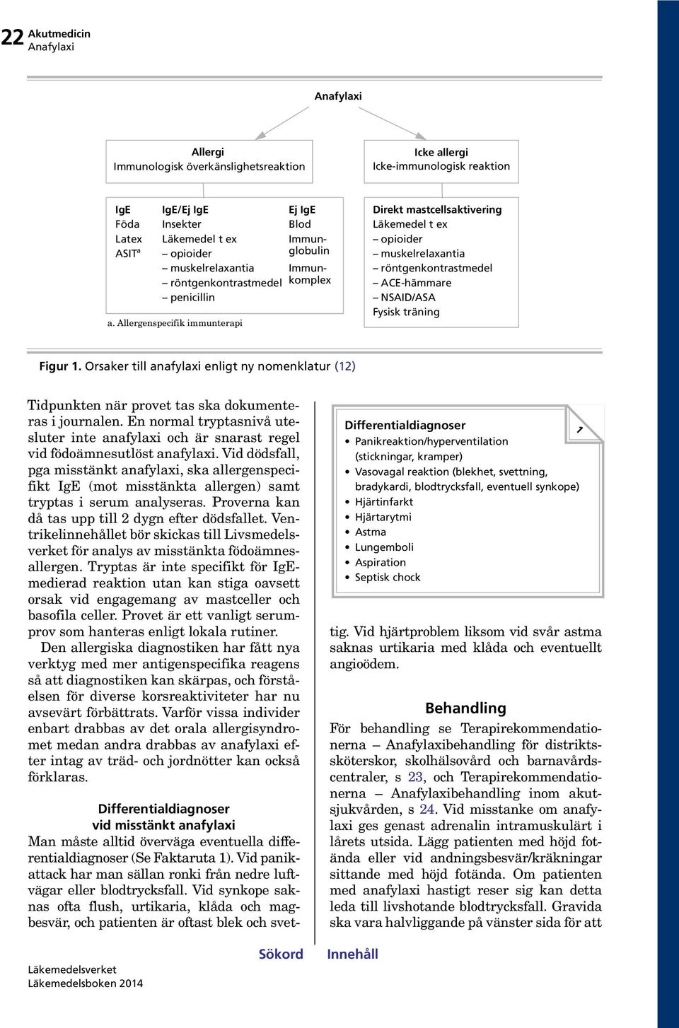 Allergenspecifik immunterapi Ej IgE Blod Immunglobulin Immunkomplex Direkt mastcellsaktivering Läkemedel t ex opioider muskelrelaxantia röntgenkontrastmedel ACE-hämmare NSAID/ASA Fysisk träning Figur