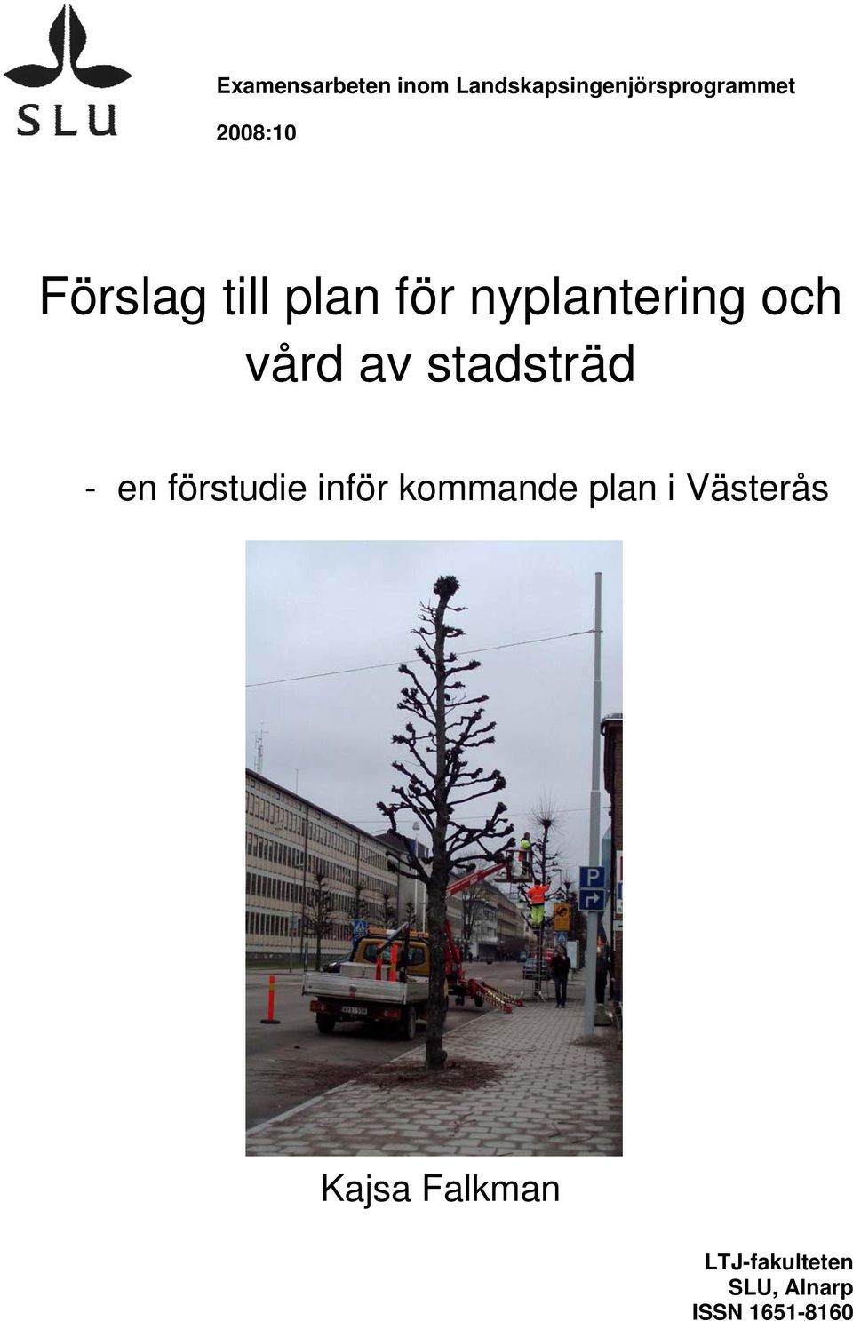 av stadsträd - en förstudie inför kommande plan i