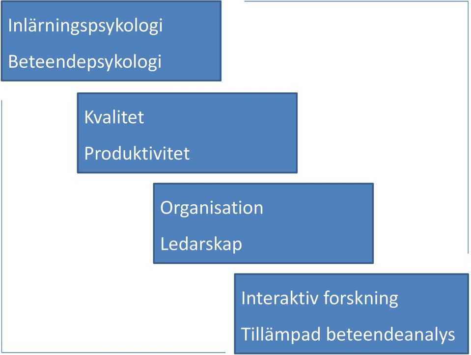 Produktivitet Organisation