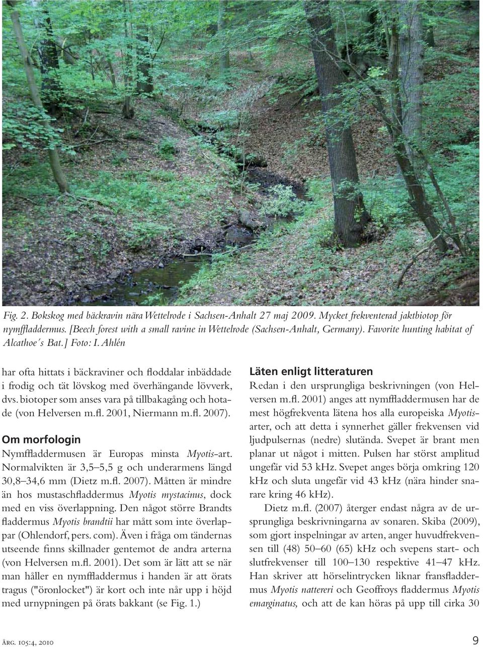 Ahlén har ofta hittats i bäckraviner och floddalar inbäddade i frodig och tät lövskog med överhängande lövverk, dvs. biotoper som anses vara på tillbakagång och hotade (von Helversen m.fl. 2001, Niermann m.