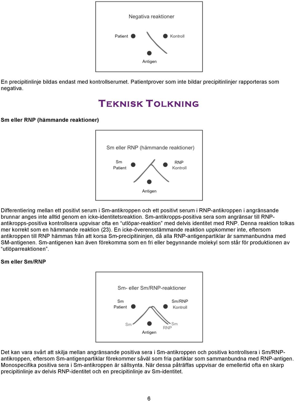 en icke-identitetsreaktion. Sm-antikropps-positiva sera som angränsar till RNPantikropps-positiva kontrollsera uppvisar ofta en utlöpar-reaktion med delvis identitet med RNP.