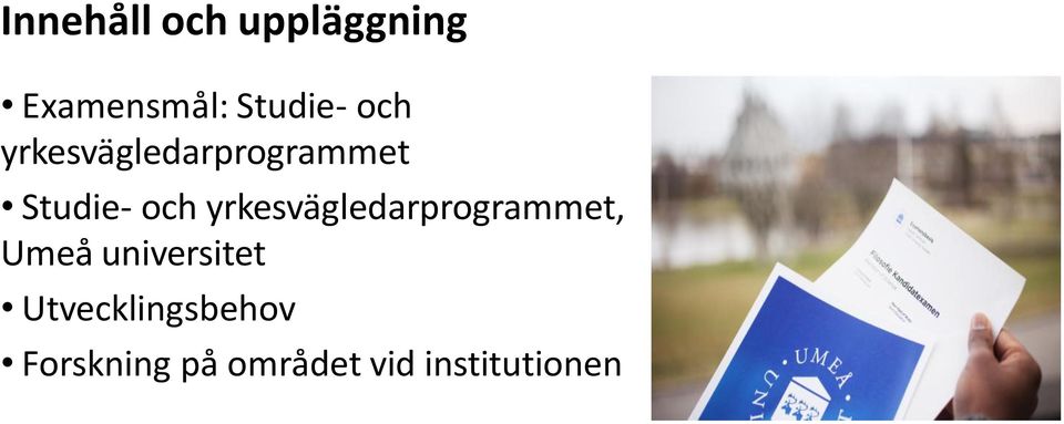 yrkesvägledarprogrammet, Umeå universitet