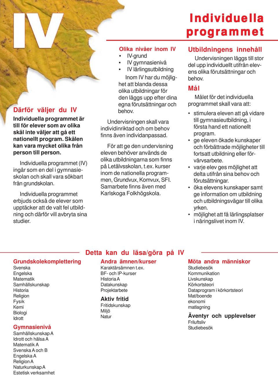 Individuella programmet erbjuds också de elever som upptäcker att de valt fel utbildning och därför vill avbryta sina studier.