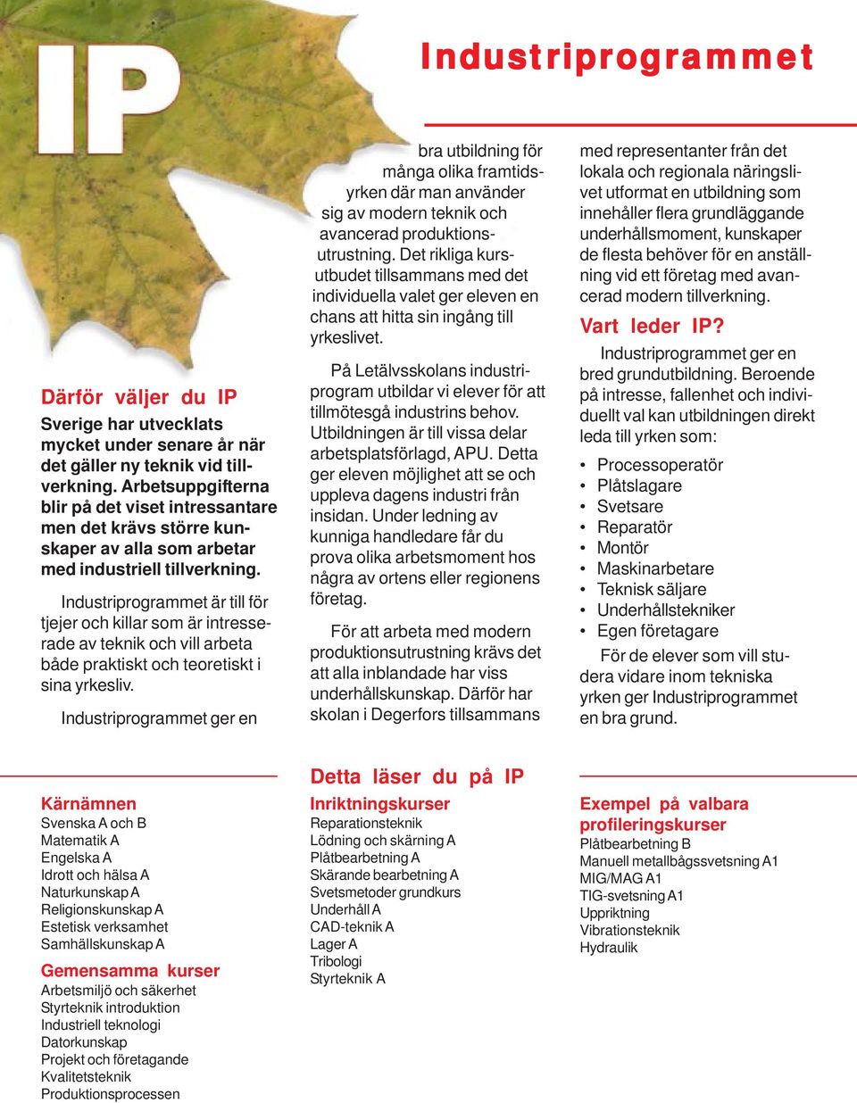 Industriprogrammet är till för tjejer och killar som är intresserade av teknik och vill arbeta både praktiskt och teoretiskt i sina yrkesliv.