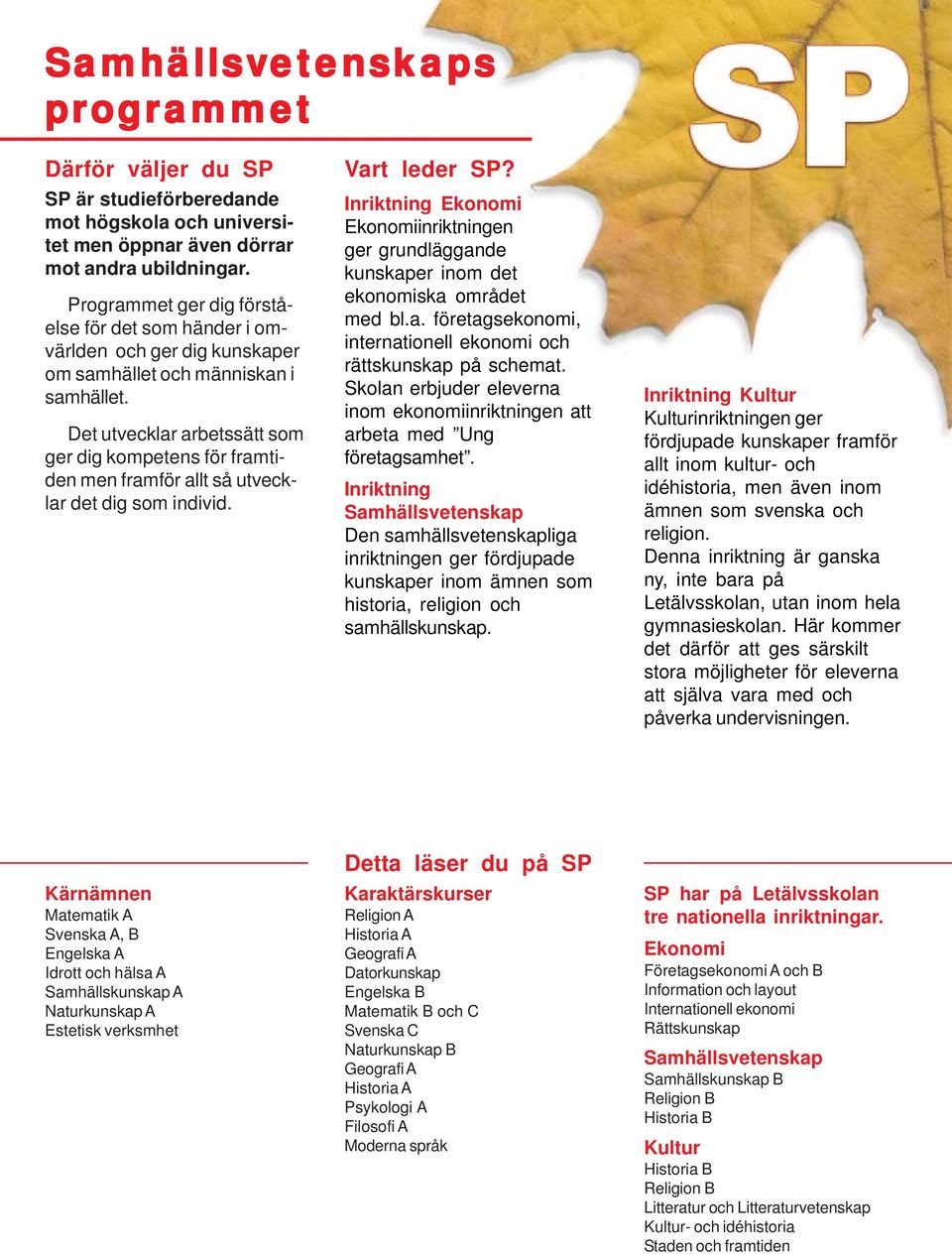 Det utvecklar arbetssätt som ger dig kompetens för framtiden men framför allt så utvecklar det dig som individ. Vart leder SP?