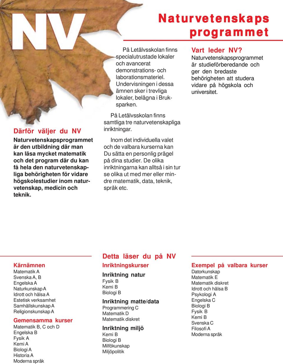 Naturvetenskapsprogrammet är studieförberedande och ger den bredaste behörigheten att studera vidare på högskola och universitet.