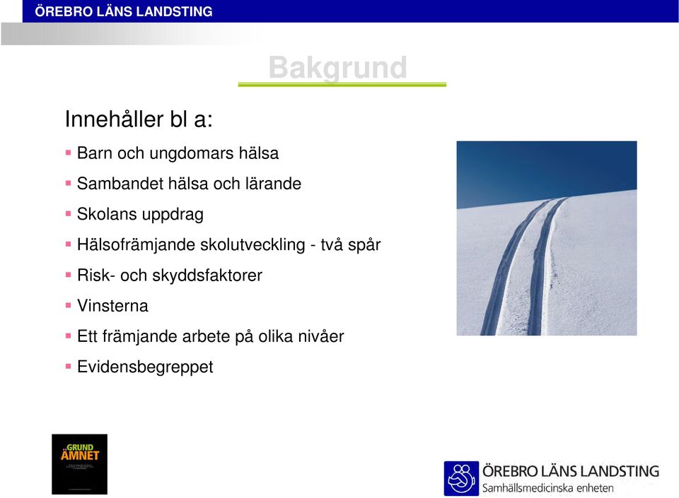 Hälsofrämjande skolutveckling - två spår Risk- och
