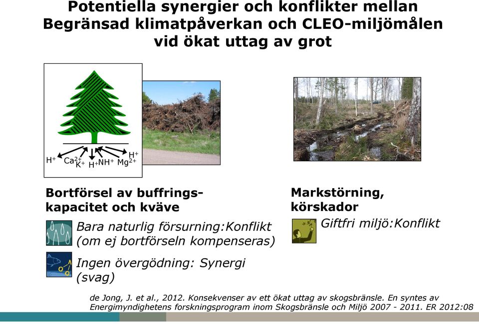 Ingen övergödning: Synergi (svag) Markstörning, körskador Giftfri miljö:konflikt de Jong, J. et al., 2012.