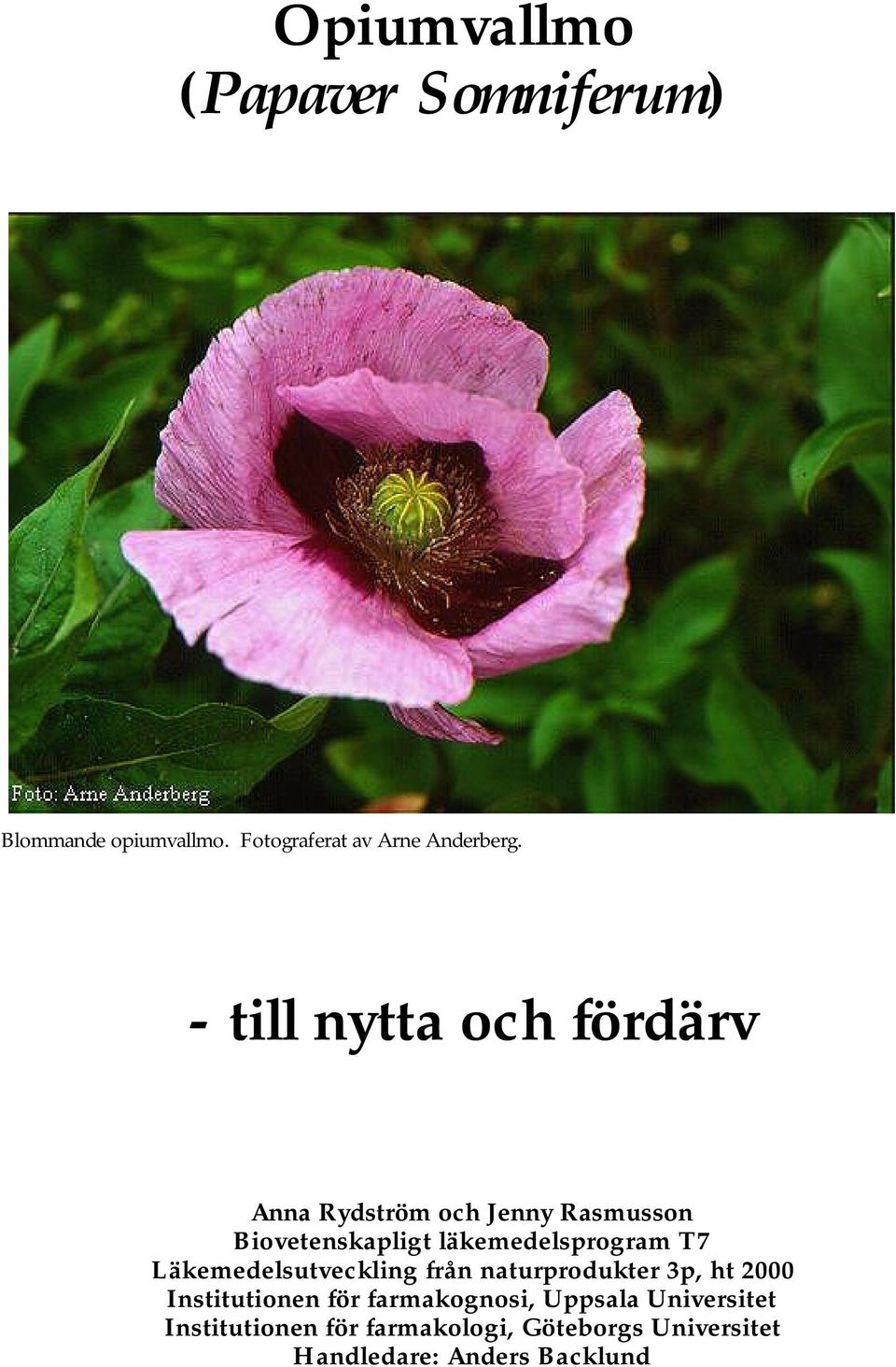 läkemedelsprogram T7 Läkemedelsutveckling från naturprodukter 3p, ht 2000 Institutionen för