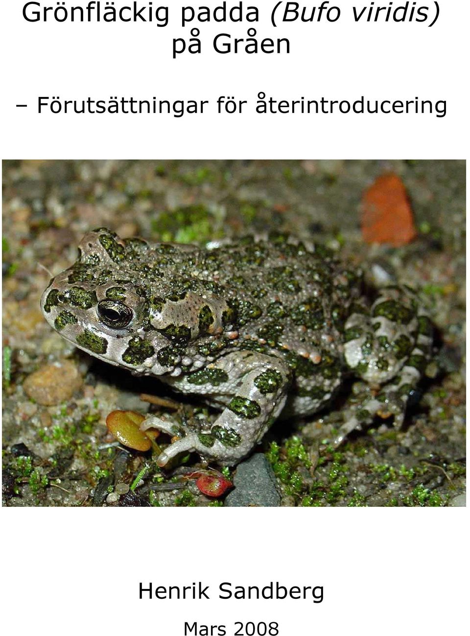 Förutsättningar för