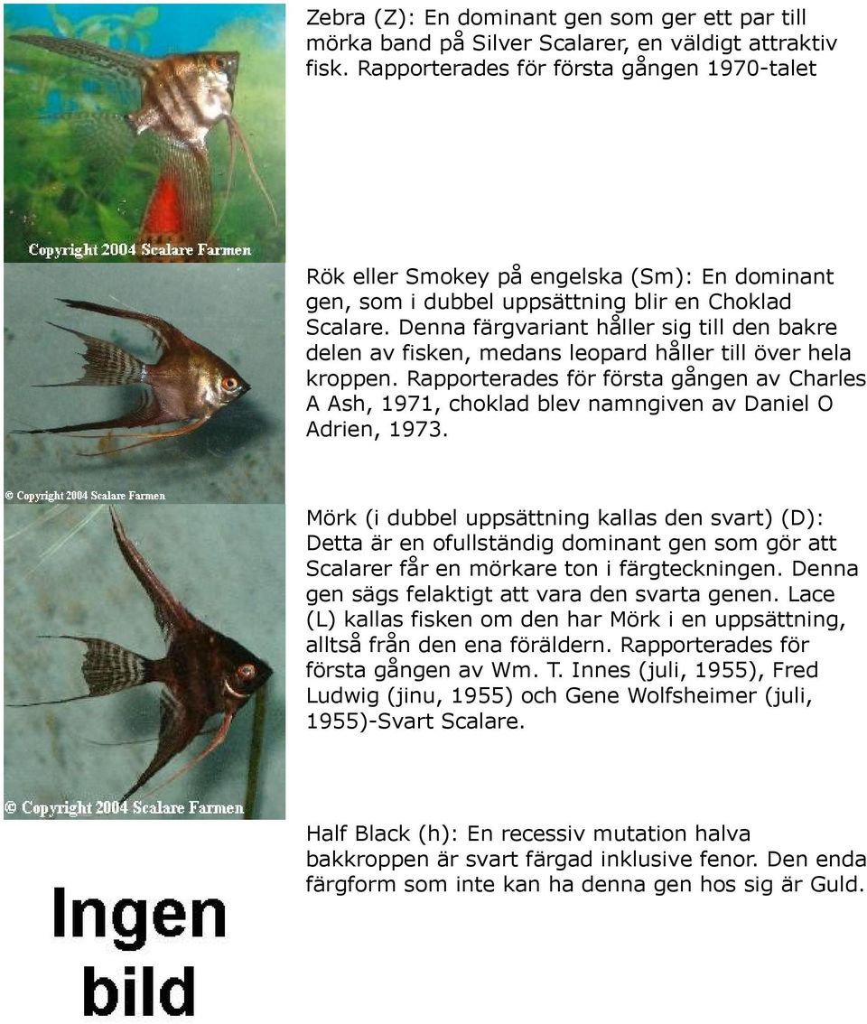 Denna färgvariant håller sig till den bakre delen av fisken, medans leopard håller till över hela kroppen.