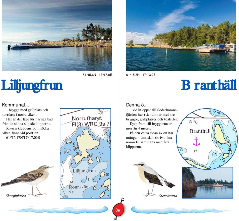 Kryssarklubbens boj i södra viken finns vid position; 61 o 15,17N/17 o 17,06E Denna ö.