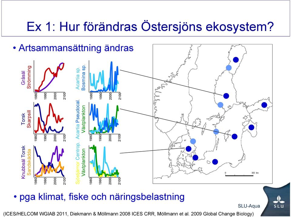 Växtplankton 1980 2100 1980 2100 1980 2100 Torsk Skarpsill Acartia Pseudocal.