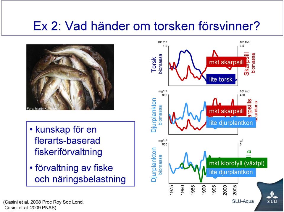 fiskeriförvaltning förvaltning av fiske och näringsbelastning Djurplankton Djurplankton mg/m 3 800 mkt skarpsill