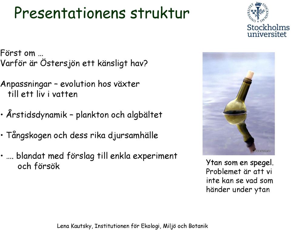 algbältet Tångskogen och dess rika djursamhälle.