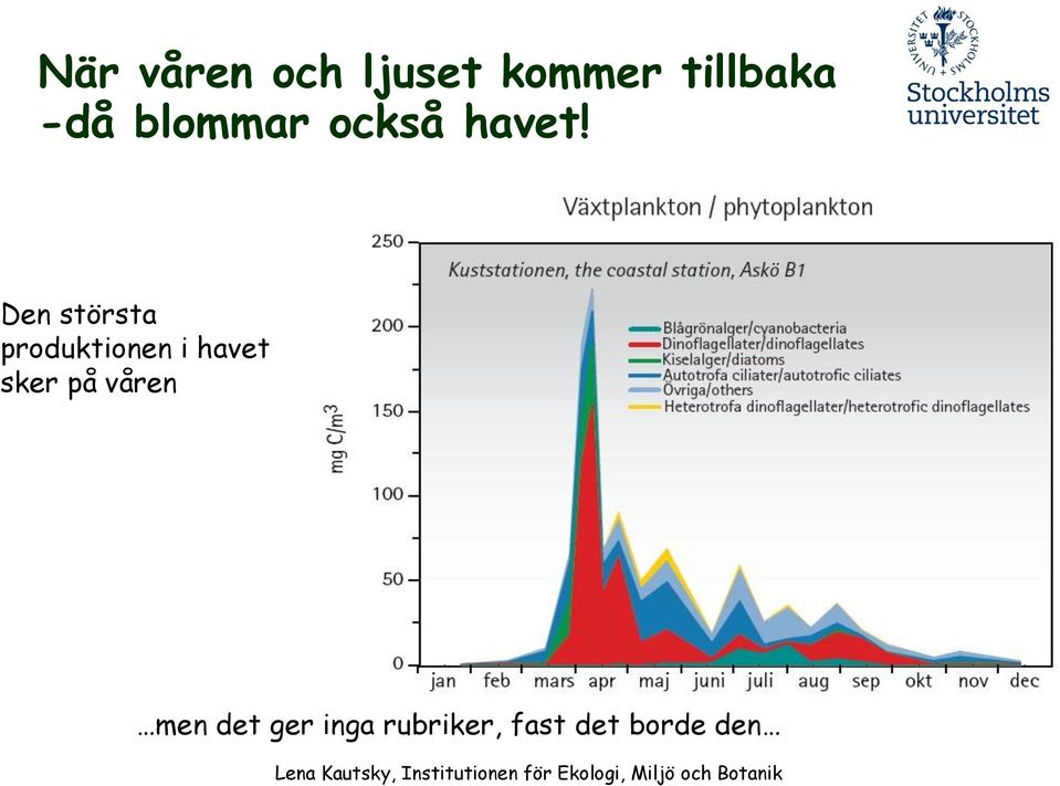 Den största produktionen i havet sker