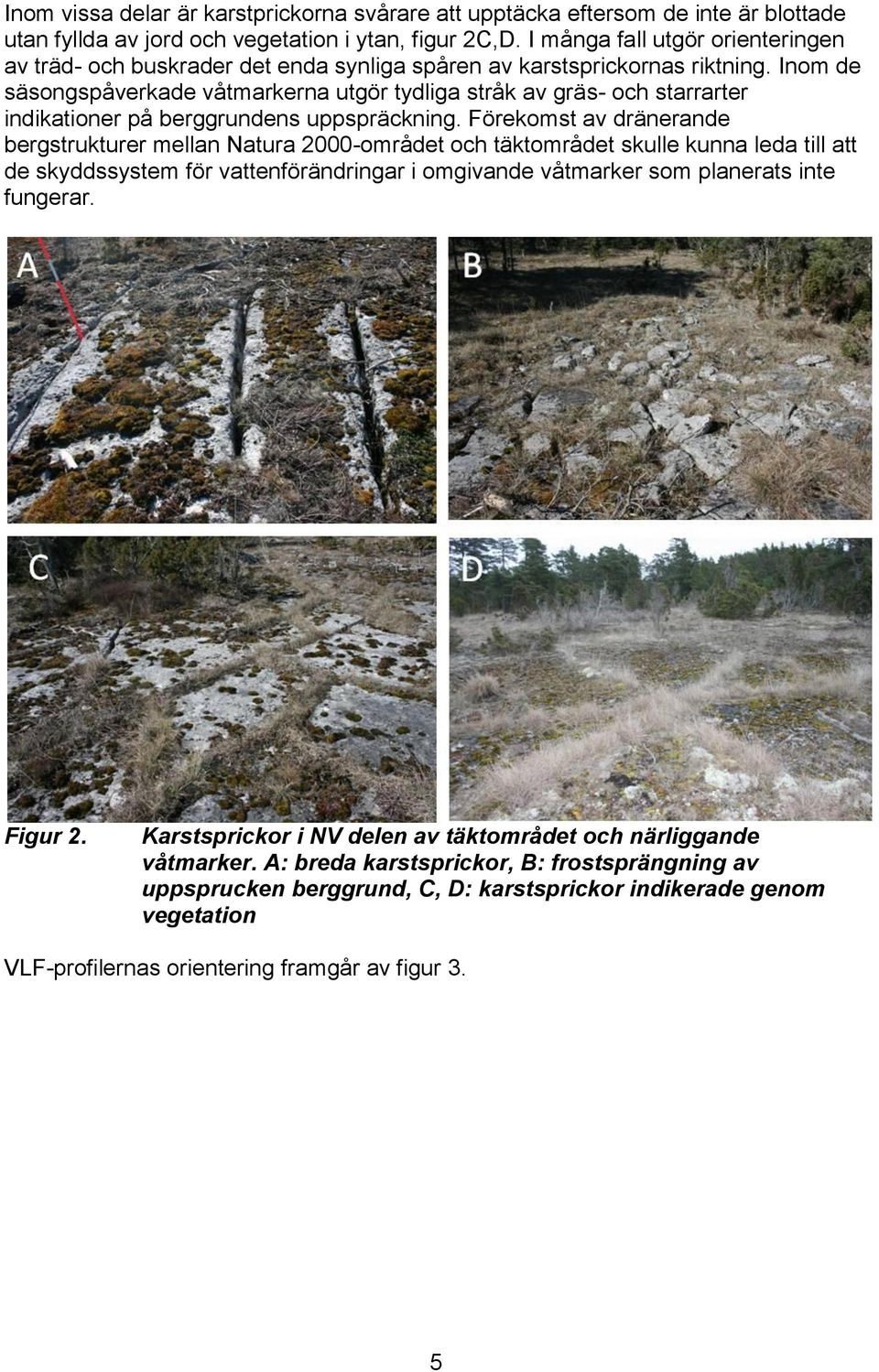 Inom de säsongspåverkade våtmarkerna utgör tydliga stråk av gräs- och starrarter indikationer på berggrundens uppspräckning.