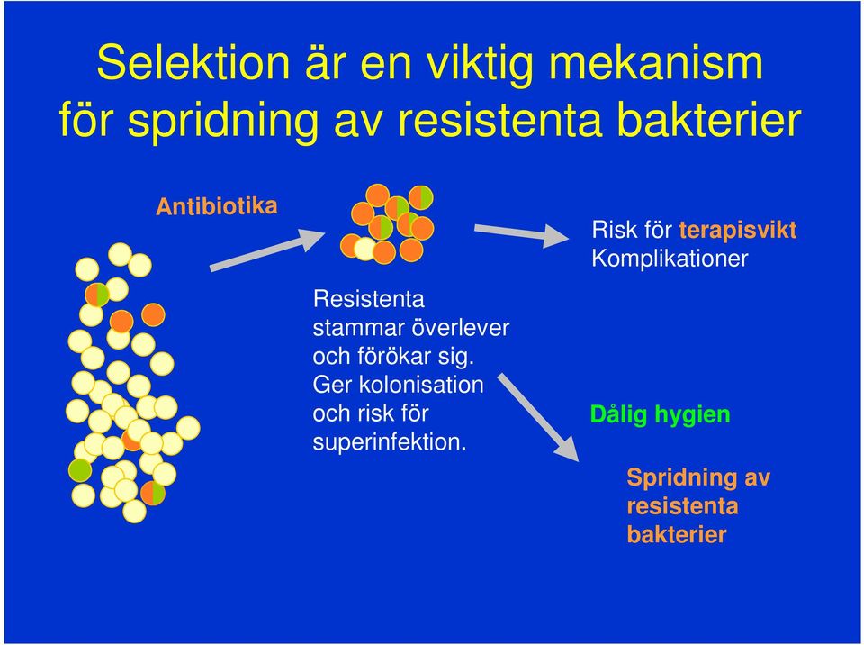 sig. Ger kolonisation och risk för superinfektion.