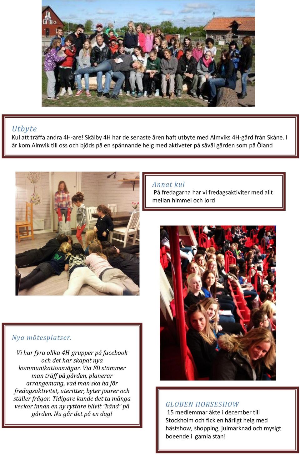 Vi har fyra olika 4H-grupper på facebook och det har skapat nya kommunikationsvägar.