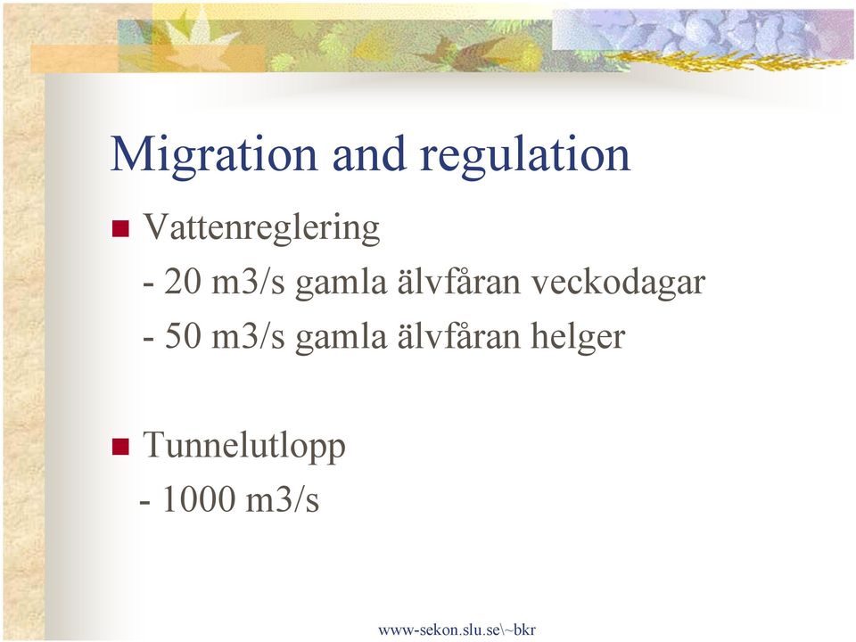 älvfåran veckodagar - 50 m3/s gamla