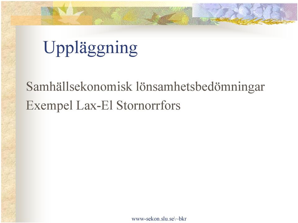 lönsamhetsbedömningar