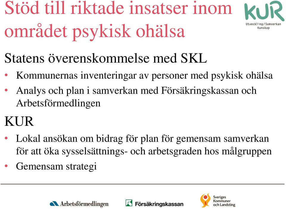 Försäkringskassan och Arbetsförmedlingen KUR Lokal ansökan om bidrag för plan för