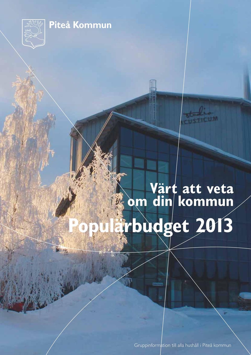 Populärbudget 2013 1