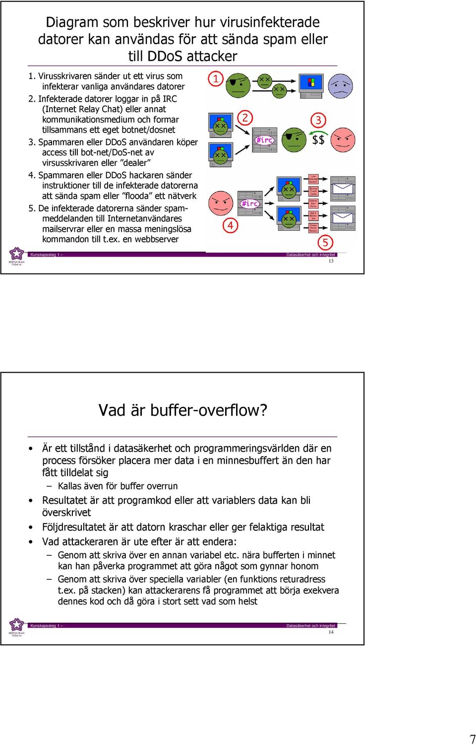 Spammaren eller DDoS användaren köper access till bot-net/dos-net av virsusskrivaren eller dealer 4.