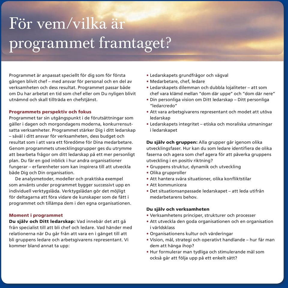 Programmets perspektiv och fokus Programmet tar sin utgångspunkt i de förutsättningar som gäller i dagen och morgondagens moderna, konkurrensutsatta verksamheter.