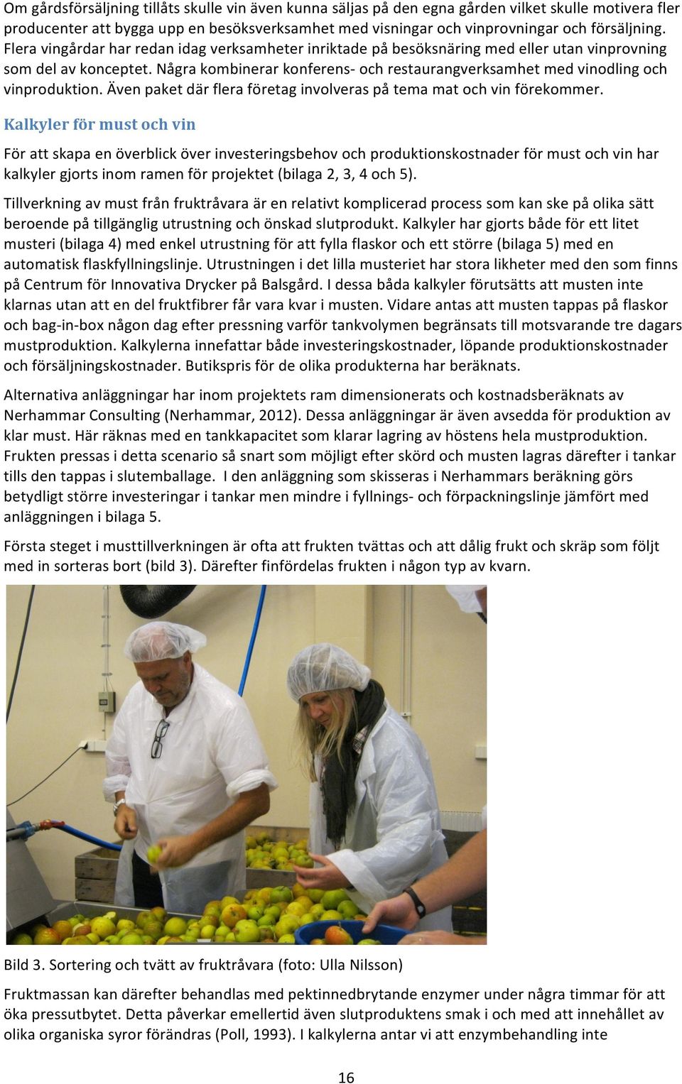 Några kombinerar konferens- och restaurangverksamhet med vinodling och vinproduktion. Även paket där flera företag involveras på tema mat och vin förekommer.