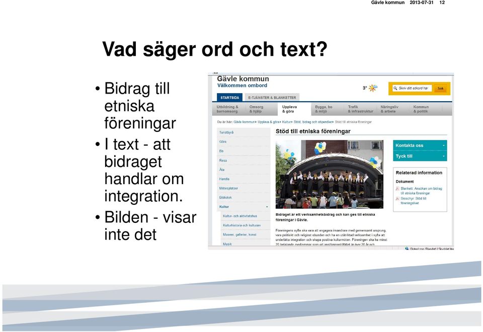 Bidrag till etniska föreningar I text