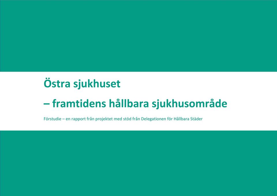 en rapport från projektet med