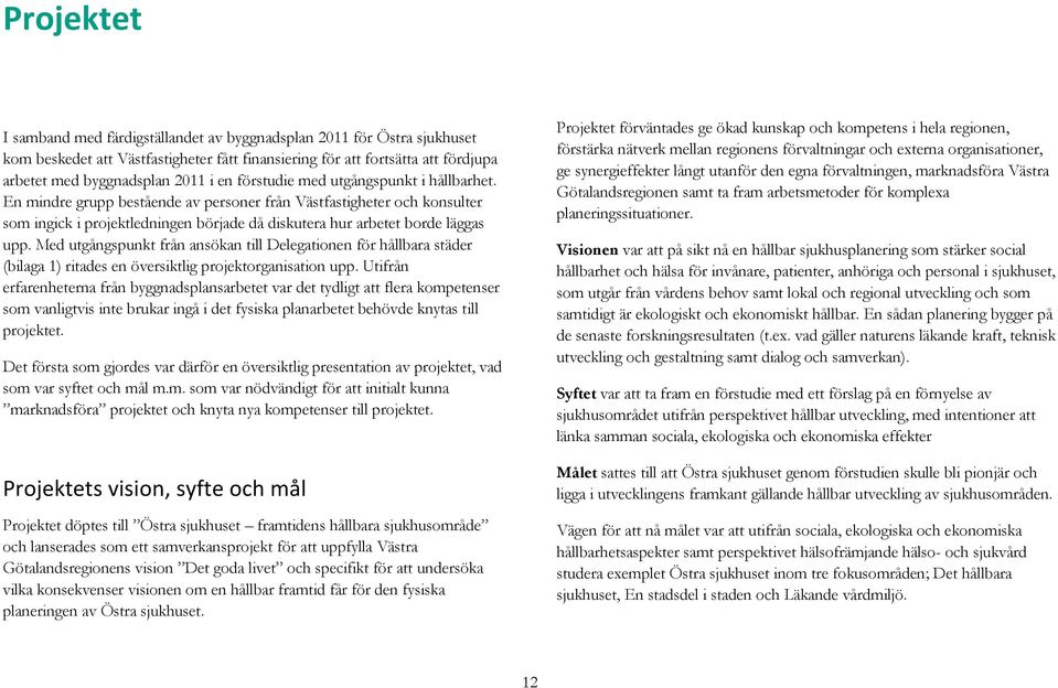 Med utgångspunkt från ansökan till Delegationen för hållbara städer (bilaga 1) ritades en översiktlig projektorganisation upp.