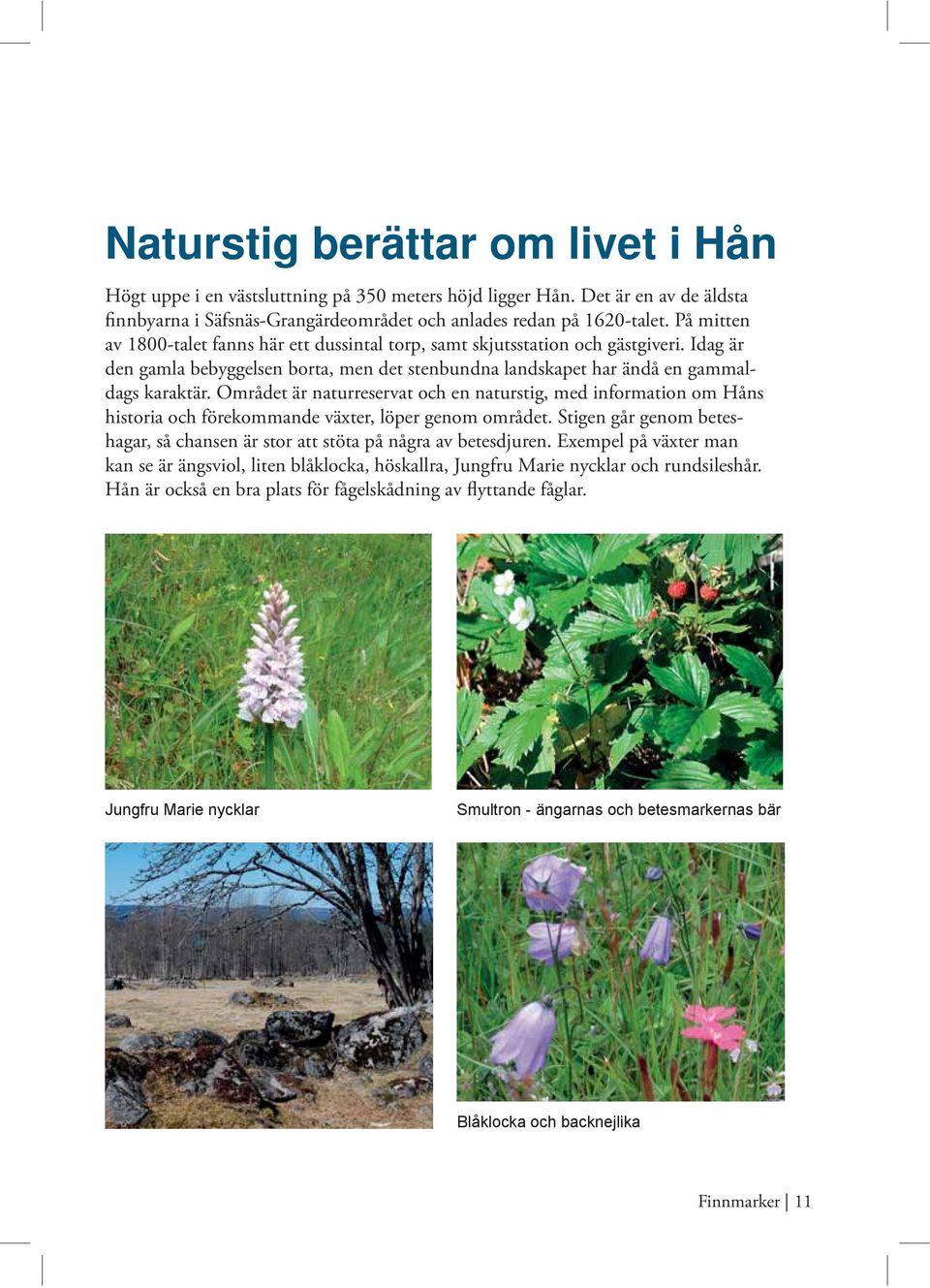 Området är naturreservat och en naturstig, med information om Håns historia och förekommande växter, löper genom området.