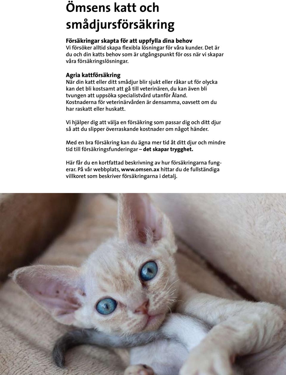 Agria kattförsäkring När din katt eller ditt smådjur blir sjukt eller råkar ut för olycka kan det bli kostsamt att gå till veterinären, du kan även bli tvungen att uppsöka specialistvård utanför