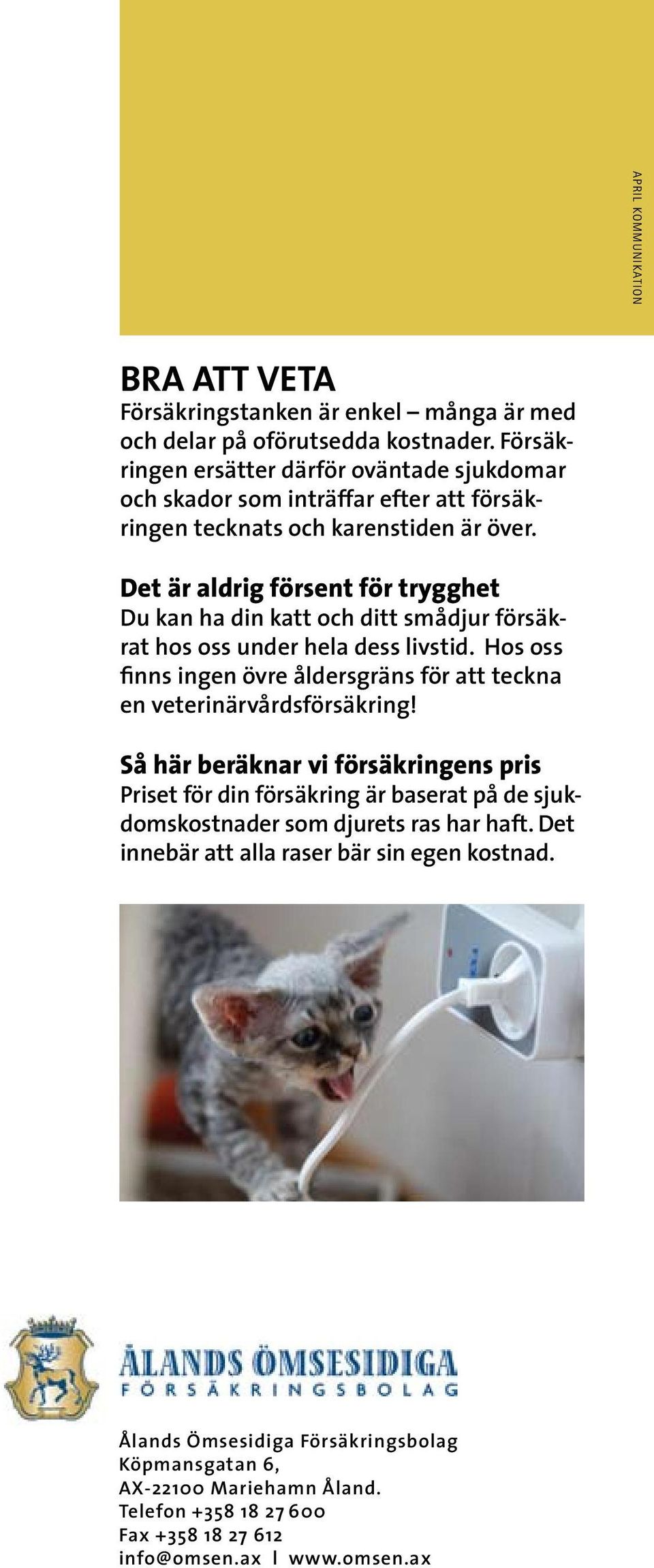 Det är aldrig försent för trygghet Du kan ha din katt och ditt smådjur försäkrat hos oss under hela dess livstid.