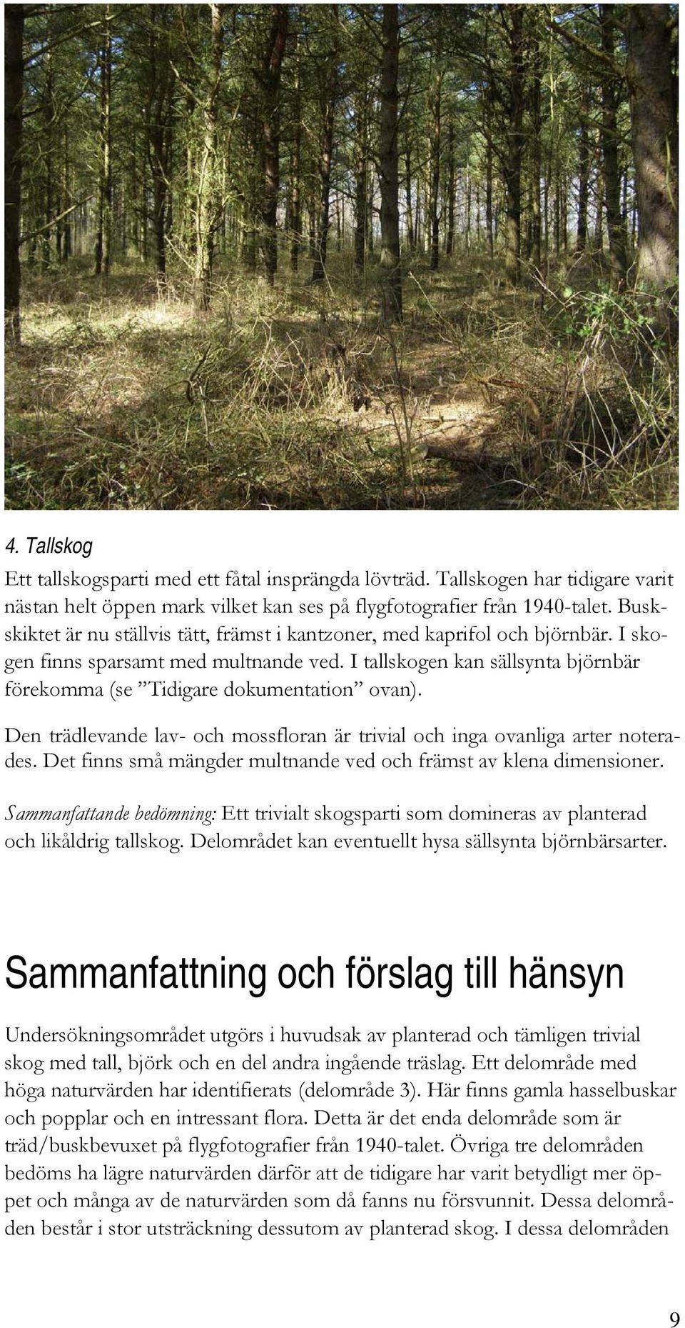 I tallskogen kan sällsynta björnbär förekomma (se Tidigare dokumentation ovan). Den trädlevande lav- och mossfloran är trivial och inga ovanliga arter noterades.