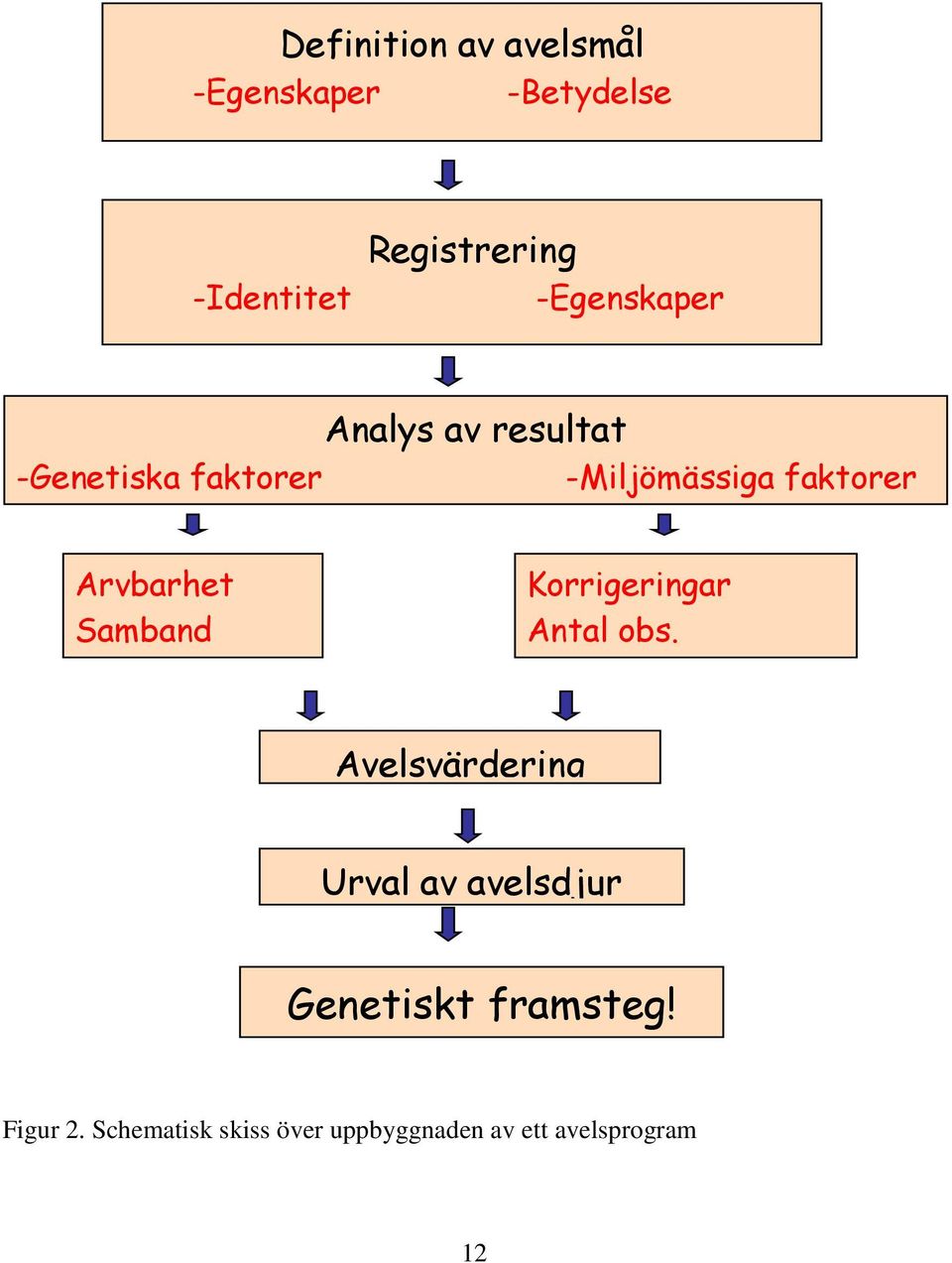 Arvbarhet Samband Korrigeringar Antal obs.