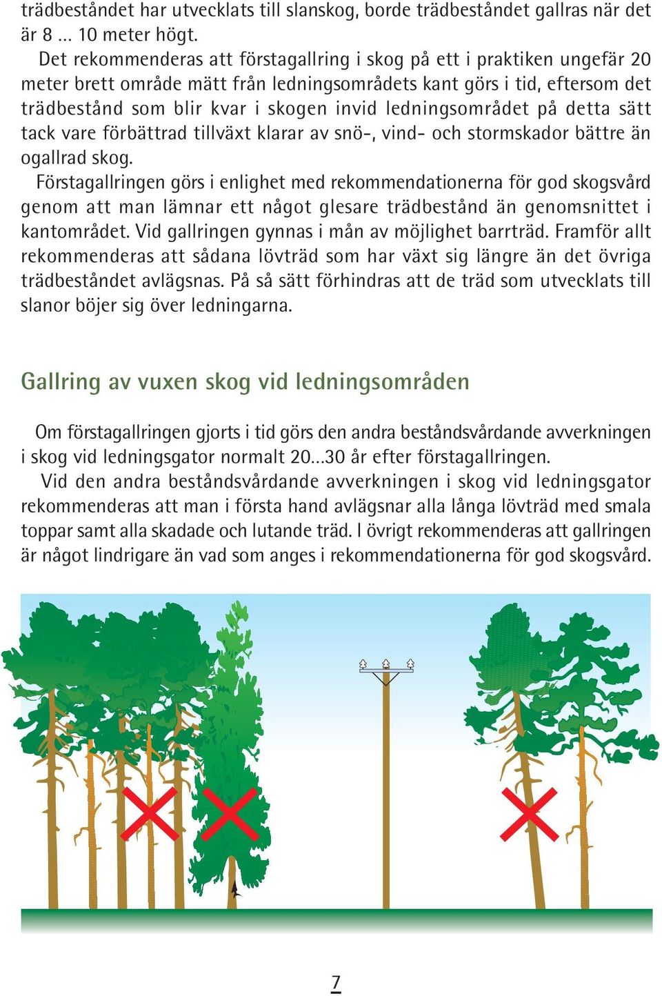 ledningsområdet på detta sätt tack vare förbättrad tillväxt klarar av snö-, vind- och stormskador bättre än ogallrad skog.