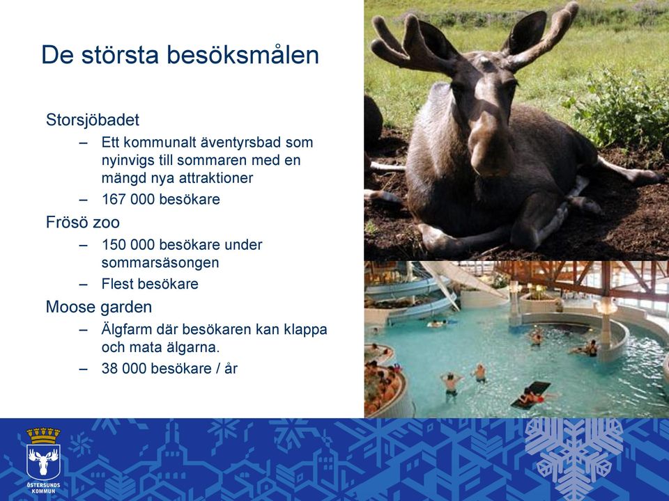 Frösö zoo 150 000 besökare under sommarsäsongen Flest besökare Moose