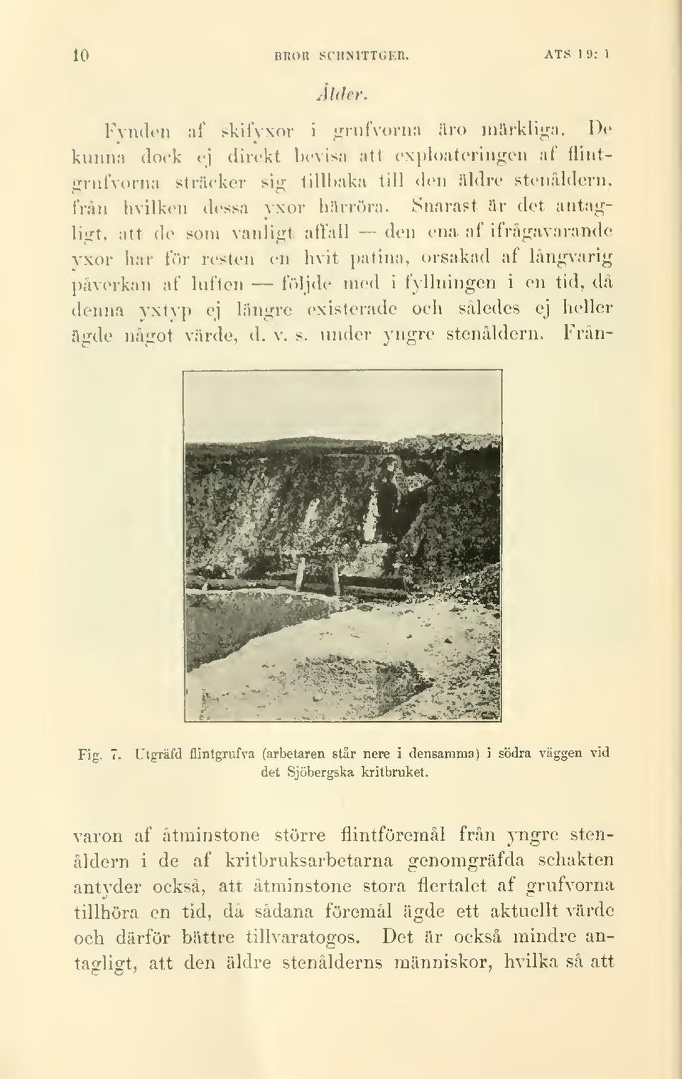 Snarast ilr det anta*,^liirt, att de som vanli^i^t afvall -- den ena af ifra^javarando yxor har för resten en hvit patina, orsakad af ]an;,^varig påverkan af luften följde med i fyllningen i en tid,