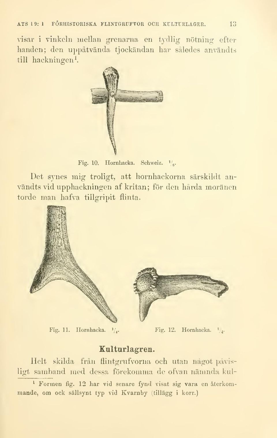 Det synes mig troligt, att hornhackorna särskildt användts vid upphackningen af kritan; för den hårda moränen torde man hafva tillgripit flinta. ^ Fig. 11. Hornhacka.