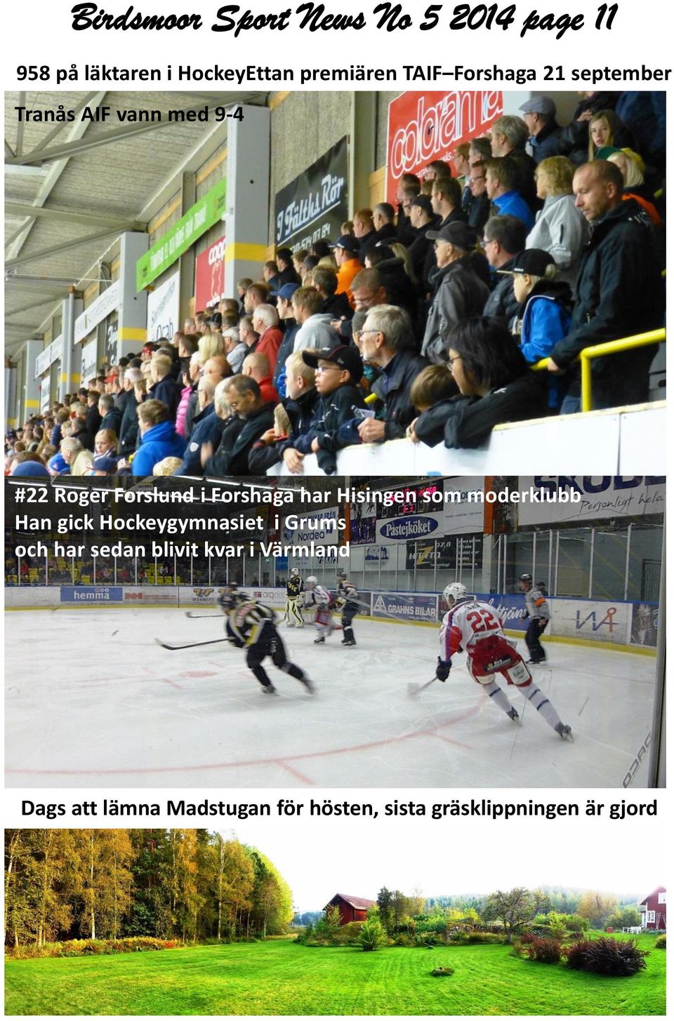 Hisingen som moderklubb Han gick Hockeygymnasiet i Grums och har sedan blivit kvar i